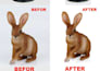 do any product photo editing and retouching